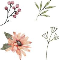 set aquarel illustraties van bloemen en planten. handgeschilderd voor ontwerp en uitnodigingen. vector