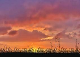 silhouet van gras tijdens zonsondergang vector