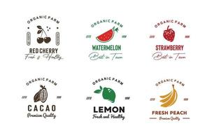 illustratie vectorafbeelding van kleurrijk biologisch fruit logo goed voor fruit biologisch product vintage logo op fruitmarkt vector