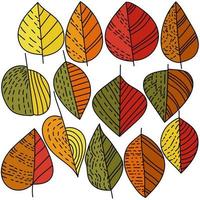 set van kleurrijke herfstbladeren met eenvoudige en gestippelde lijnenpatronen, herfstvectorkrabbels vector