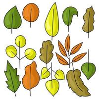 set herfst doodle bladeren in heldere en gedempte tinten met verschillende boomsoorten voor ontwerp vector