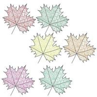 set esdoornbladeren met kleurrijke patronen, herfstbladeren kleurplaat vector