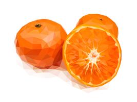 Oranje, een van de Chinese, veelbelovende vruchten vector