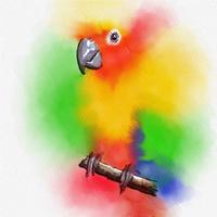 Kleurrijke vogel aquarel op vector kunst.