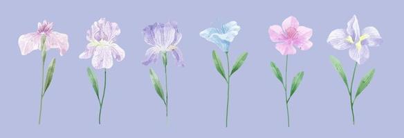 een set bloemen geschilderd in waterverf voor het maken van designerwerk vector