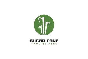 suikerriet logo ontwerp vector