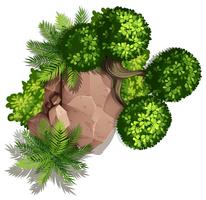Set van natuur rock en plant vector