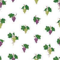 Druiventak naadloos patroon. Wijngaard natuurlijk fruit ornament. Voedsel achtergrond. vector