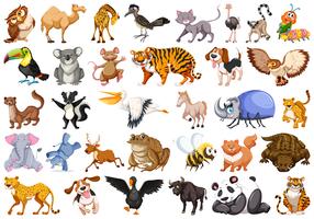 Set van wilde dieren vector