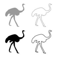struisvogel icon set grijs zwarte kleur vector