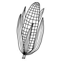 schattige cartoon doodle verse maïs met bladeren geïsoleerd op een witte achtergrond. vector
