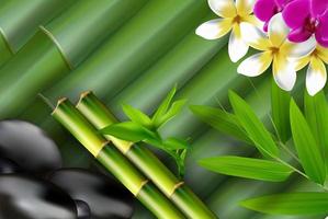 bamboe, stenen, bamboeblad en bloemachtergrond. vector