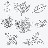 eenvoud kratom blad uit de vrije hand tekenen plat ontwerp. vector