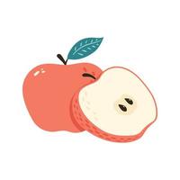 verse zoete rode appel met blad geïsoleerde vectorillustratie. een hele vrucht en een half met zaden. cartoon stijl vector