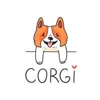 schattig corgi-hondkarakter dat uitkijkt van achter een obstakel met tekst. vectorillustratie. vector