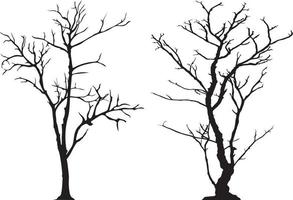 silhouet van boom zonder bladeren vector