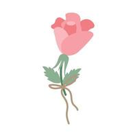 roze roze bloem, een delicate knop. de botanische vectorillustratie is geïsoleerd. clipart voor ontwerp, decor vector