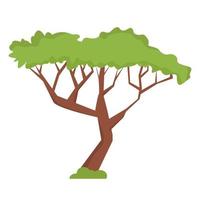 Afrikaanse acacia in vlakke stijl geïsoleerd op een witte achtergrond vector