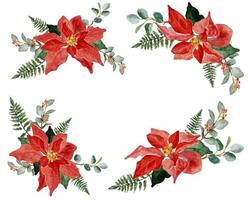 aquarel kerst poinsettia bloem boeket elementen collectie vector