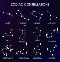 De 12 Zodiacal sterrenbeelden. vector