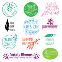 Botanische hand getrokken logo vector