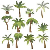palmboom cartoon in vlakke stijl vector