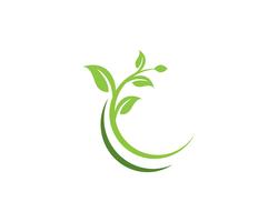 Tree Leaf Vector icon Illustratie ontwerp