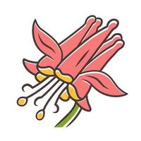 karmozijnrode columbine kleur icoon. aquilegia formosa. bloeiende wilde bloem. lente bloesem. rode akelei. wilde kruidachtige plant. geïsoleerde vectorillustratie vector