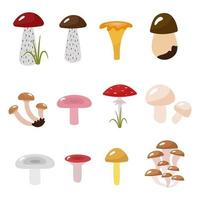 herfst collectie van paddestoelen. cartoon foto's podosinovik, podberezovik, syroezhka, gember, vliegenzwam. vectorillustratie geïsoleerd. voor ontwerp of decoratie vector