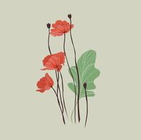 vectorillustratie van papaver bloem. geïsoleerd op de achtergrond. gestileerde tekening. wilde bloemen. vector