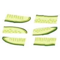 groene komkommer in stukjes gesneden. heerlijke gezonde groente, vers voedsel voor saladebereiding, oogst. platte vectorillustratie vector