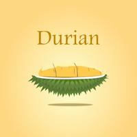 Durian-ontwerp voor affichevector en illustratie op geïsoleerde gele achtergrond. vector