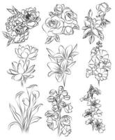 bloemen hand tekening set schets zwart-wit vector