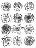 bloemen set hand schets tekening zwart-wit vector