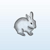 Stripple Dot Animal Rabbit Drawing vector