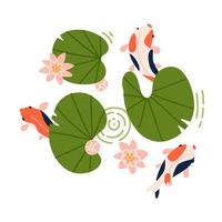 boomkoi vissen met rode en oranje strepen zwemmen onder lotus- en leliebladbladeren. vectorillustratie geïsoleerd op een witte achtergrond. vector