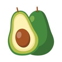 avocado fruit vector