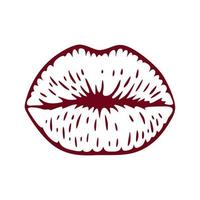 schoonheid vrouwelijke lippen vectorillustratie, vrouwelijke lippen lijntekeningen vector
