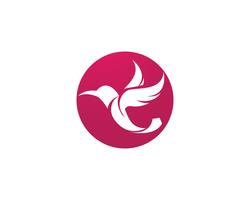 Kolibrie pictogram logo en symbolen sjabloon vector