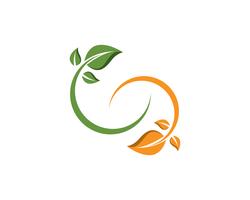 blad groene natuur logo en symbool sjabloon Vector