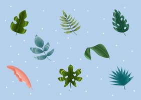 acht tropische bladeren pictogrammen vector