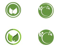 blad groene natuur logo en symbool sjabloon Vector