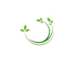 blad groene natuur logo en symbool sjabloon Vector