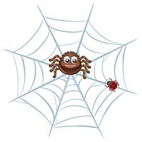 Spider op het web vector