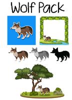 Pack van schattige wolf vector