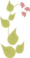 tak met bloem. vectorillustratie. botanische plantendecoratie voor ontwerp en decor vector