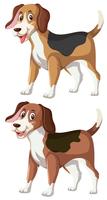 Een set van vrolijke beagle vector