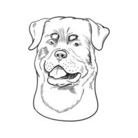 rottweiler gezicht geïsoleerd op een witte achtergrond. vector