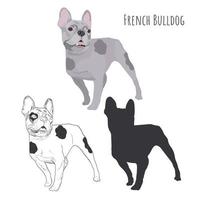 Franse bulldog geïsoleerd op een witte achtergrond. vector