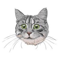 schattige kitty hoofd hand getekende illustratie. vector